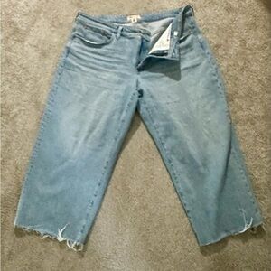 Madewell Perfect Vintage Crop Jean Size 18W